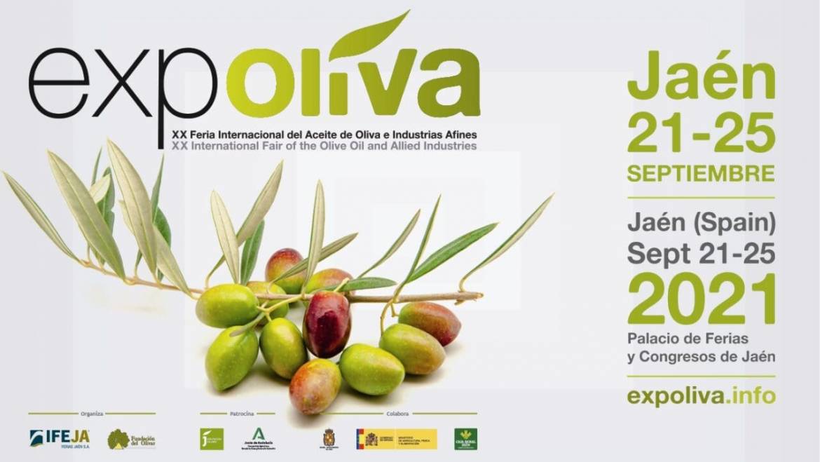 La olivicultura, un cultivo estratégico con un gran futuro